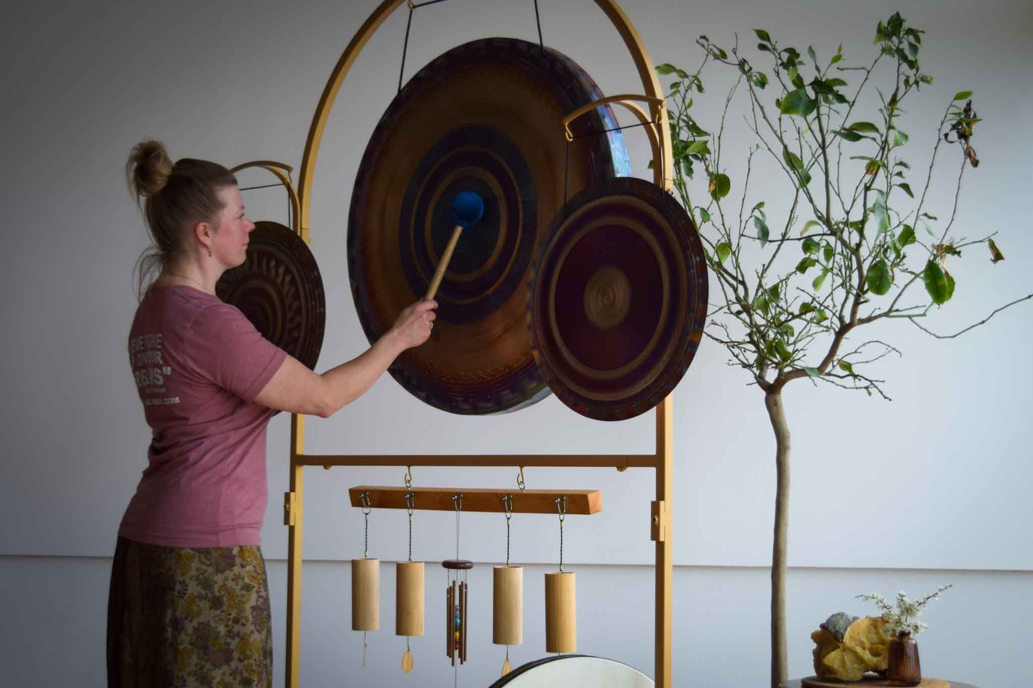 Sound Bath Sam Crystal Lake View Therapies